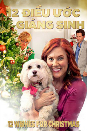 12 Điều Ước Giáng Sinh (12 Wishes For Christmas) [2010]