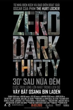 30' Sau Nửa Đêm (Zero Dark Thirty) [2012]