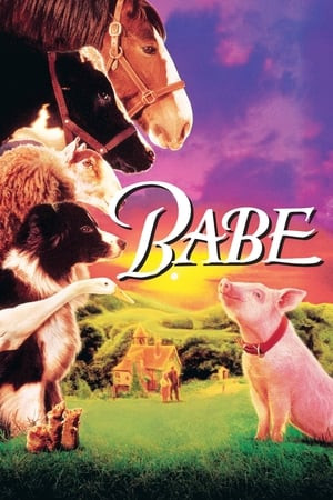 Babe: Chú Heo Chăn Cừu (Babe) [1995]