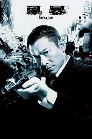 Bão Lửa (風暴/Firestorm) [2013]