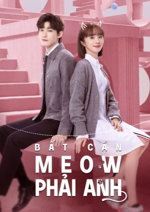 Bất Cẩn Meow Phải Anh (Accidentally Meow On You) [2022]