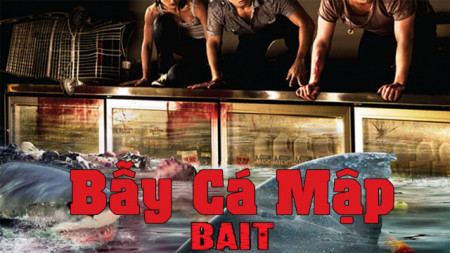 Xem phim Bẫy Cá Mập