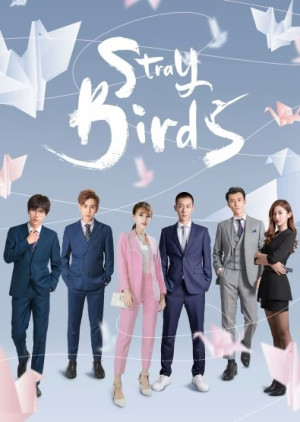 Bầy Chim Lạc (Stray Birds) [2021]