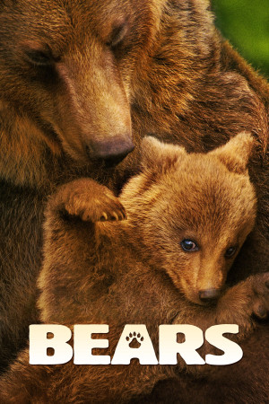 Bears (Bears) [2013]
