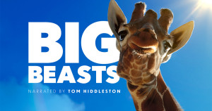 Xem phim Big Beasts