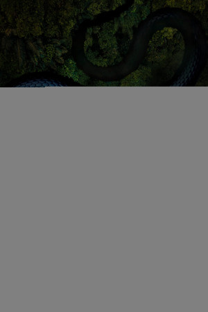 Bờ Biển Mosquito (Phần 1) (The Mosquito Coast (Season 1)) [2021]