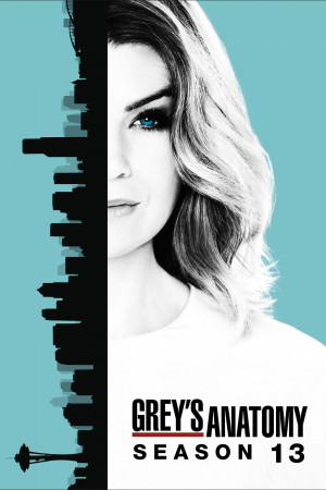 Ca Phẫu Thuật Của Grey (Phần 13) (Grey's Anatomy (Season 13)) [2015]