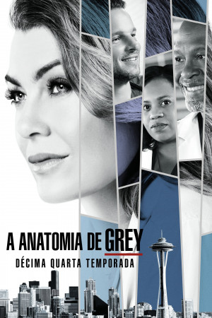 Ca Phẫu Thuật Của Grey (Phần 14) (Grey's Anatomy (Season 14)) [2016]