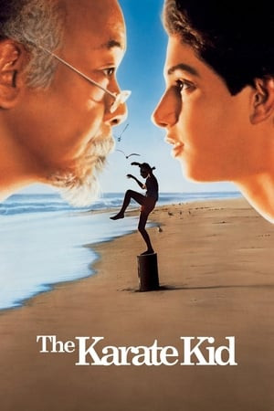 Cậu bé Karate (The Karate Kid) [1984]