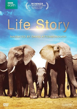 Câu Chuyện Cuộc Sống (Life Story) [2013]