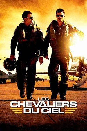 Chiến Binh Trên Không (Les Chevaliers du ciel/Sky Fighters) [2005]