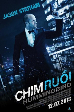 Chim Ruồi (Hummingbird/Redemption) [2013]