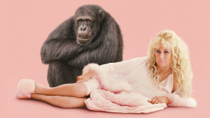 Xem phim Chimp Crazy