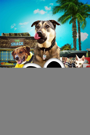 Chú Chó Cứu Hộ (Rescue Dogs) [2016]