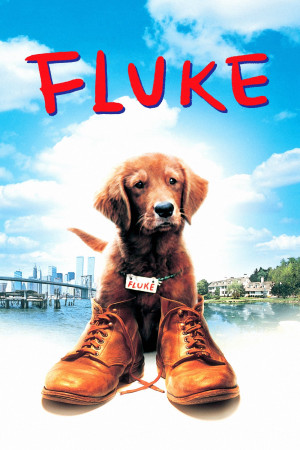 Chú Chó Fluke (Fluke) [1994]