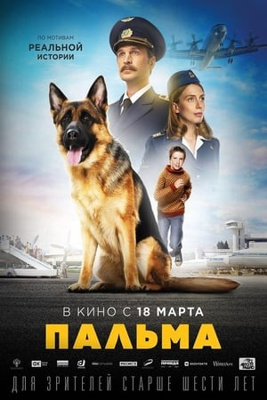 Chú Chó Palma (Palma) [2021]