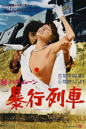 Chuyến Tàu Hãm Hiếp (Secret Honeymoon: Rape Train) [1977]