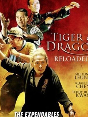 Đả Lôi Đài (Tiger and Dragon Reloaded) [2009]