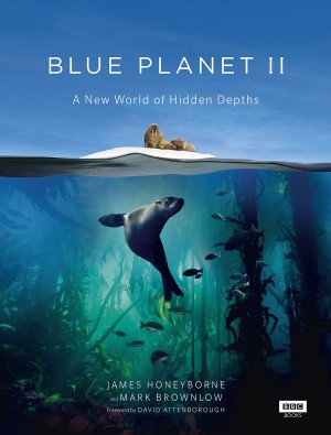 Đại Dương Sâu Thẳm 2 (The Blue Planet 2) [2014]