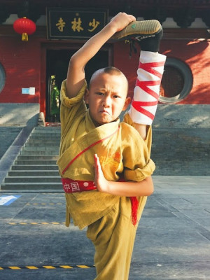 Đại Náo Thiếu Lâm Tự (The Shaolin Temple Boy) [2012]