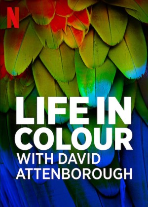 David Attenborough: Sự sống đầy màu sắc (Life in Colour with David Attenborough) [2020]