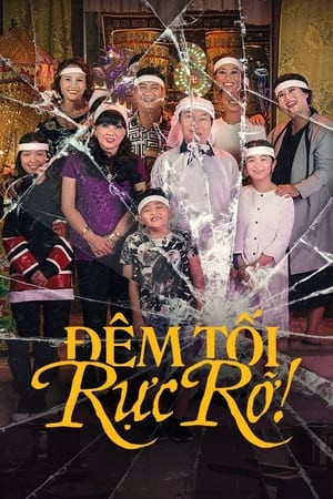 Đêm tối rực rỡ! (The Brilliant Darkness!) [2022]