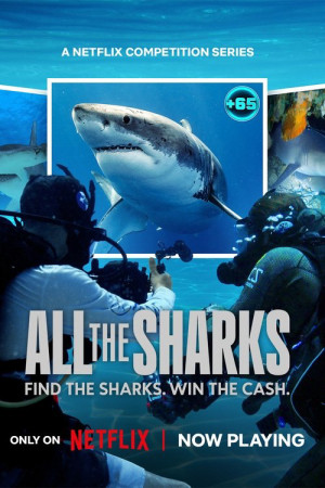 Đi tìm cá mập (All the Sharks) [2025]