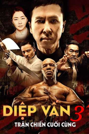 Diệp Vấn 3: Trận Chiến Cuối Cùng (Ip Man 3) [2014]