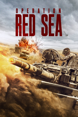 Điệp Vụ Biển Đỏ (Operation Red Sea) [2017]