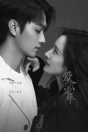 Định Luật 80/20 Của Tình Yêu (She And Her Perfect Husband) [2022]