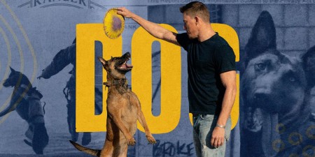 Xem phim Dog