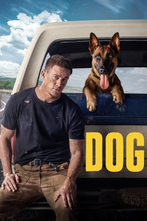Poster Phim Dog 2022