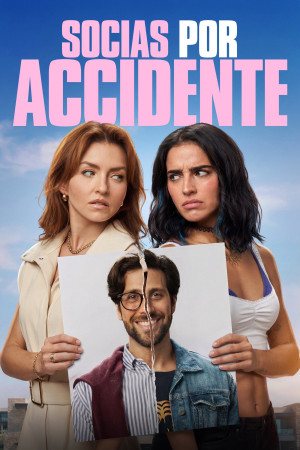 Đối tác tình cờ (Accidental Partners) [2026]