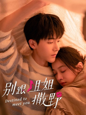 Đừng Nhờn Với Chị (Destined To Meet You) [2022]