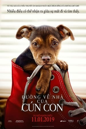 Đường Về Nhà Của Cún Con (A Dog's Way Home) [2019]
