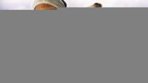 Xem phim F***/OFF