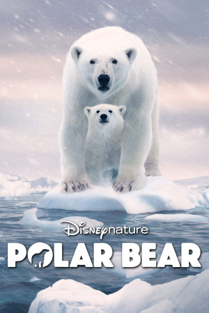 Gấu Bắc Cực (Polar Bear) [2022]