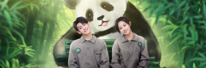 Xem phim Gấu Trúc Và Bạn, Lăn Đến Đây!