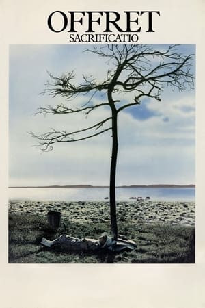 Hiến Dâng (Offret/The Sacrifice) [1986]