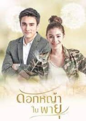 Hoa Cỏ Lau Trong Bão (Grass Flower In The Storm) [2017]