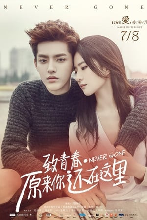 Hóa Ra Anh Vẫn Ở Đây (Never Gone) [2016]