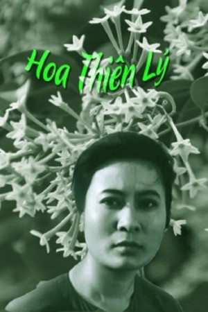 Xem phim Hoa Thiên Lý