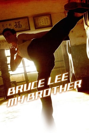 Huyền Thoại Lý Tiểu Long (李小龍/Bruce Lee, My Brother) [2010]