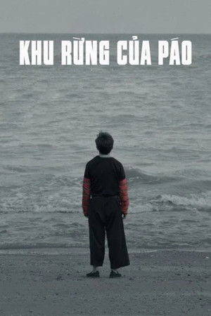 Khu rừng của Páo (Pao's Forest) [2022]
