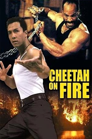 Liệp Báo Hành Động (獵豹行動/Cheetah on Fire) [1992]