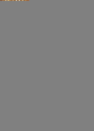 Little Forest: Summer/Autumn (Little Forest: Summer/Autumn) [2014]