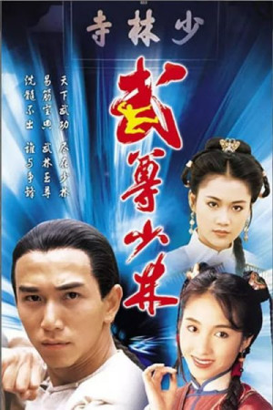 Lò Võ Thiếu Lâm (Heroes From Shaolin) [1993]