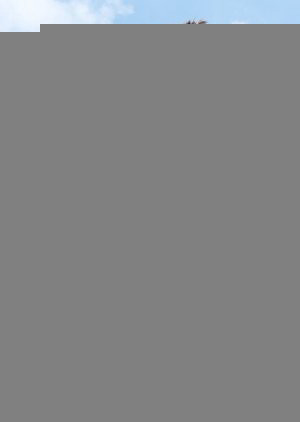 Luyến Hạ 38 Độ (Summer Fever) [2012]