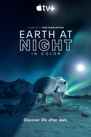 Màn đêm trên Trái Đất (Night on Earth) [2019]