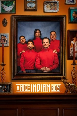 Mẹ ơi, con có bạn trai (A Nice Indian Boy) [2025]